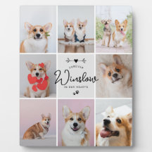 ペットのロストギフトドッグメモリアル8写真記念