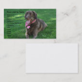 ペットの世話の名刺 名刺 (正面/裏面)