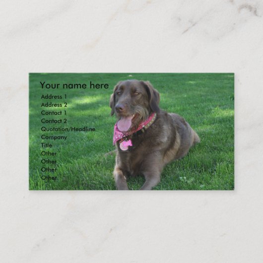 ペットの世話の名刺 名刺 (正面)