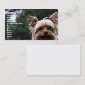 ペットの世話の名刺 名刺 (正面/裏面)