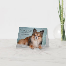 ペットの世話をありがとう サンキューカード