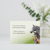 ペットの予防注射ブースターの注意喚起 ポストカード (スタンド正面)