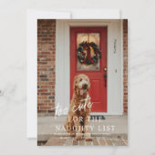 ペットの写真いけなの休日に可愛すぎる 招待状 (正面)