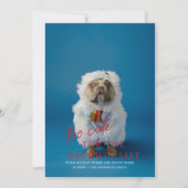 ペットの写真いけなの休日に可愛すぎる 招待状 (正面)