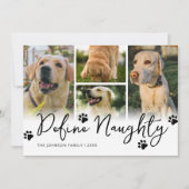 ペットの写真いけなの数々のクリスマス シーズンカード (正面)