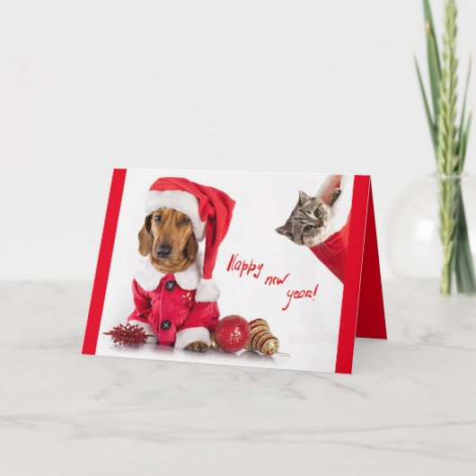 ペットの写真が付いている明けましておめでとうの郵便はがき シーズンカード (正面)