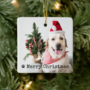 ペットの写真が入ったクリスマス オーナメント