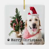 ペットの写真が入ったクリスマス オーナメント (裏面)