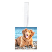 ペットの写真でクリスマスをカスタマイズ キューブオーナメント (正面)