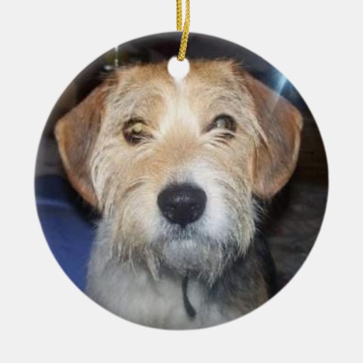 ペットの写真とタイポグラフィーのオーナメント セラミックオーナメント (正面)