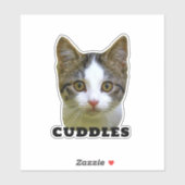 ペットの写真と名前のステッカーをアップパーソナライズされたロード シール (シート)