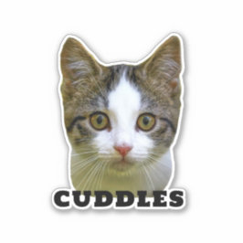 ペットの写真と名前のステッカーをアップパーソナライズされたロード シール