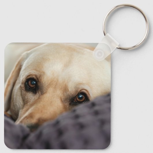 ペットの写真と名前パーソナライズされた キーホルダー (裏面)