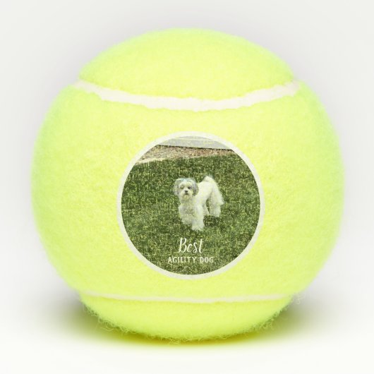 ペットの写真と文字 テニスボール (裏面)