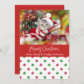 ペットの写真のクリスマスカードと足の跡 シーズンカード (正面/裏面)
