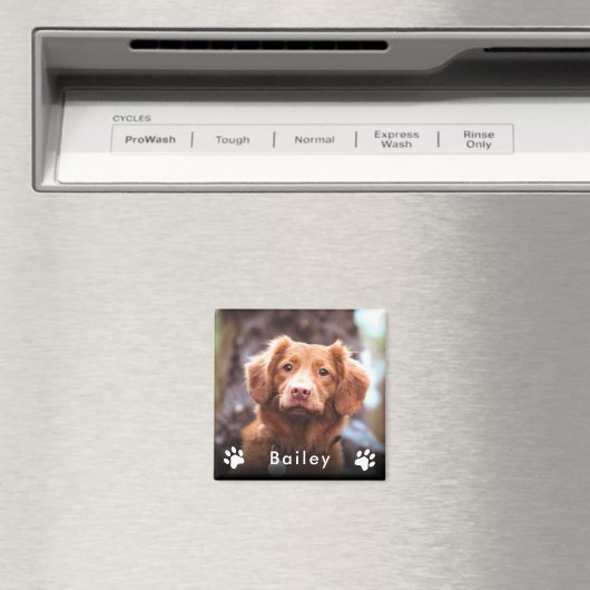 ペットの写真の名前 マグネット (インサイチュ (食洗機))