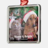 ペットの写真の家族の名前メリーと明るい メタルオーナメント (左)