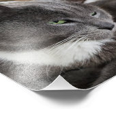 ペットの写真の拡大 フォトプリント            (角)