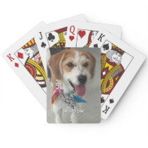 ペットの写真または子供の写真と名前