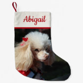 ペットの写真をリバーシブルパーソナライズされた スモールクリスマスストッキング (正面)