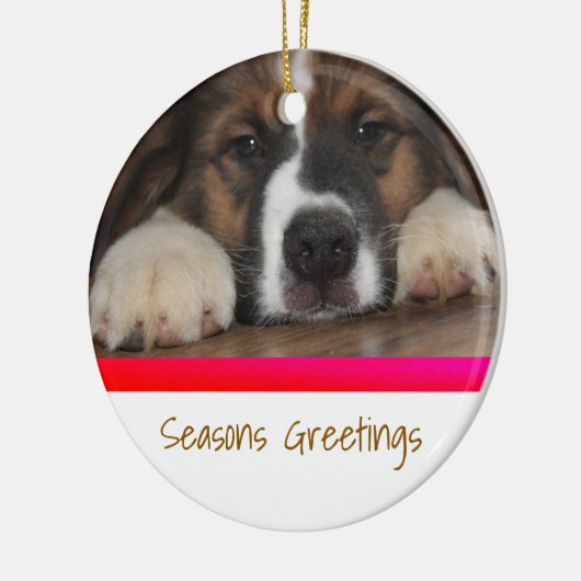 ペットの写真を使ったオリジナルクリスマスオーナメント セラミックオーナメント (左)