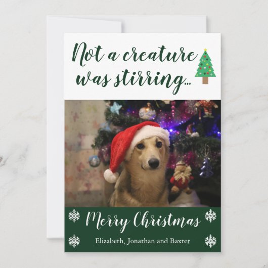 ペットの写真を動かしている生き物はなかった シーズンカード (正面)