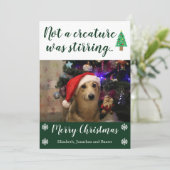 ペットの写真を動かしている生き物はなかった シーズンカード (スタンド正面)