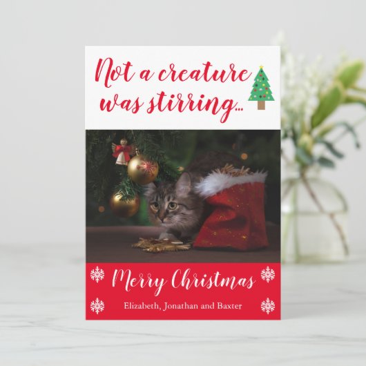 ペットの写真を動かしている生き物はなかった シーズンカード (スタンド正面)