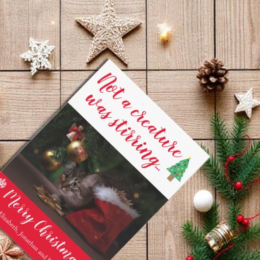 ペットの写真を動かしている生き物はなかった シーズンカード