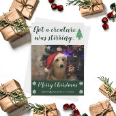 ペットの写真を動かしている生き物はなかった シーズンカード