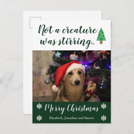 ペットの写真を動かしている生き物はなかった シーズンポストカード (正面/裏面)