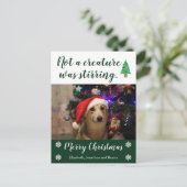 ペットの写真を動かしている生き物はなかった シーズンポストカード (スタンド正面)