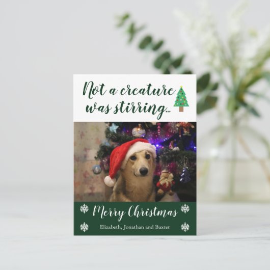 ペットの写真を動かしている生き物はなかった シーズンポストカード (スタンド正面)