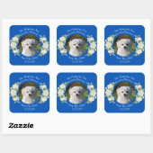 ペットの写真を投稿しよう！ Cobalt Blue & White スクエアシール (シート)