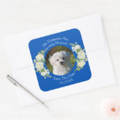 ペットの写真を投稿しよう！ Cobalt Blue & White スクエアシール (封筒)