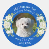 ペットの写真を投稿しよう! Cobalt Blue & White ラウンドシール (正面)