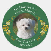 ペットの写真を投稿しよう!Save The Date エメラルドグリーンとゴールド ラウンドシール (正面)