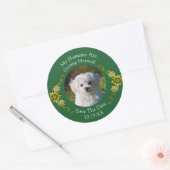 ペットの写真を投稿しよう!Save The Date エメラルドグリーンとゴールド ラウンドシール (封筒)
