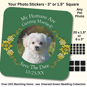 ペットの写真を投稿しよう、Save The Date、エメラルドグリーン スクエアシール