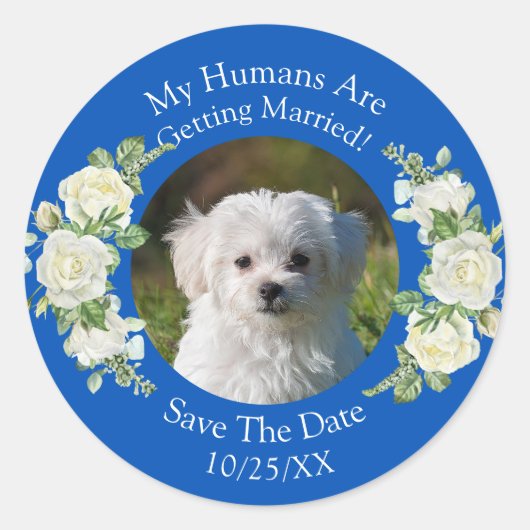 ペットの写真を投稿しよう! Save The Date, コバルトブルー&ホワイト ラウンドシール (正面)