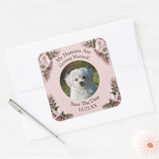 ペットの写真を投稿しよう! Save The Date、ピンクのバラとハト スクエアシール (封筒)