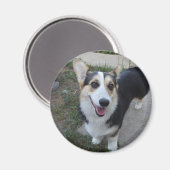 ペットの写真を追加する マグネット (正面/裏面)