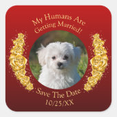 ペットの写真を飾って、特別な日を記念しよう - ゴールドの花とマロン スクエアシール (正面)