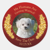 ペットの写真を飾って、特別な日を記念しよう - ゴールドの花とマロン ラウンドシール (正面)