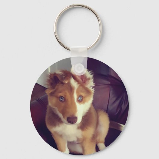 ペットの写真カスタムをアップロード キーホルダー (正面)