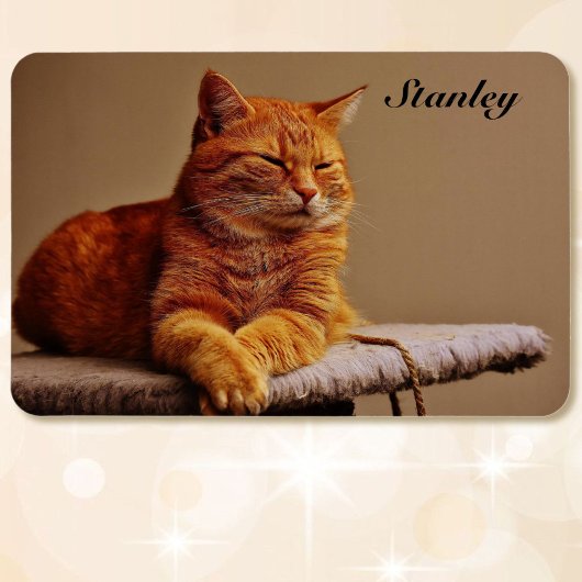 ペットの写真テンプレート追加の名前4 x 6 マグネット