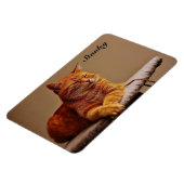 ペットの写真テンプレート追加の名前4 x 6 マグネット (左側)