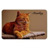 ペットの写真テンプレート追加の名前4 x 6 マグネット (横)