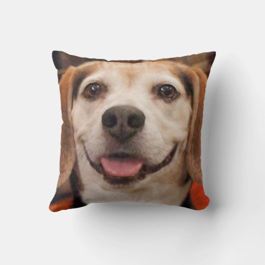 ペットの写真パーソナライズされた犬猫 クッション (裏面)