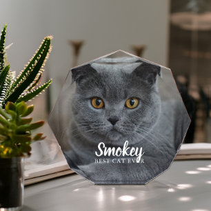 ペットの写真パーソナライズされた フォトブロック